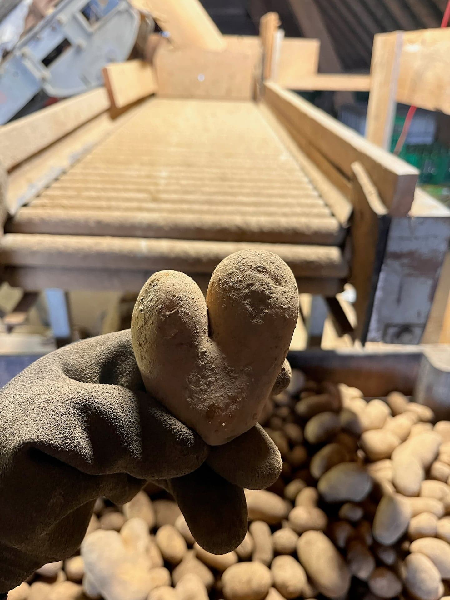 Von Hand sortiert